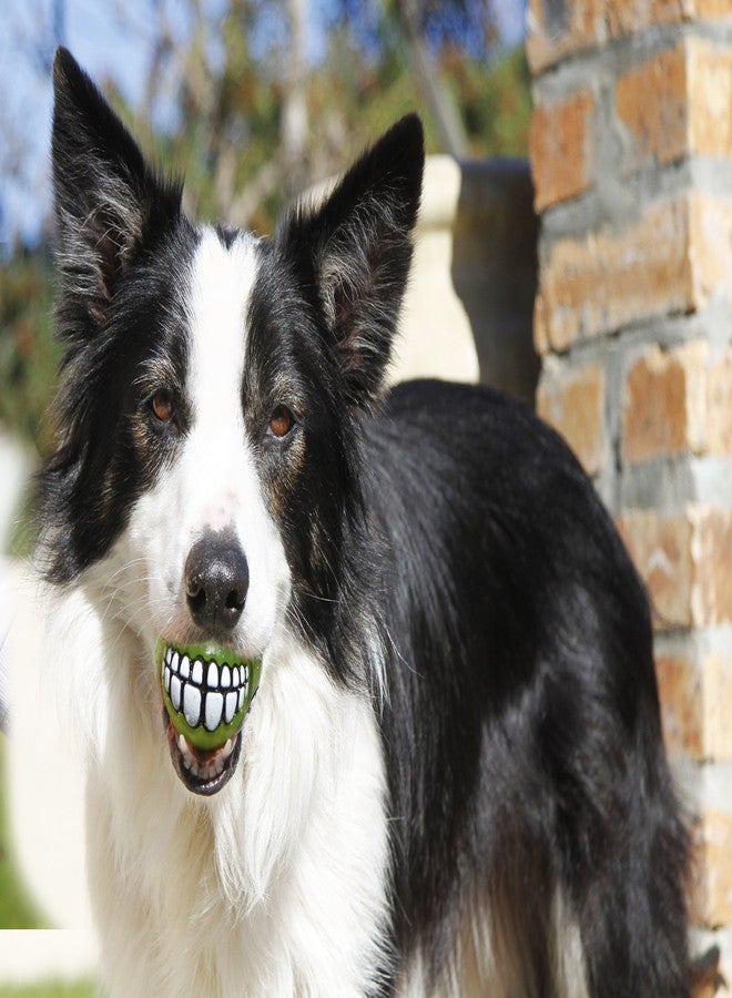 روجز كرة مكافآت الكلاب المرحة ROGZ GR02-L متوفرة بأحجام وألوان متنوعة، متوسطة، ليمونية - Image 4